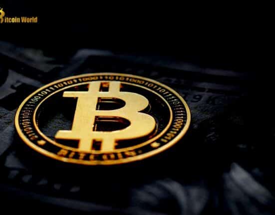 Nearly half of crypto users invest to boost living standards: Report