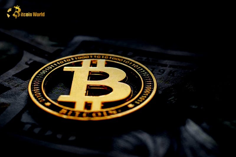 Nearly half of crypto users invest to boost living standards: Report