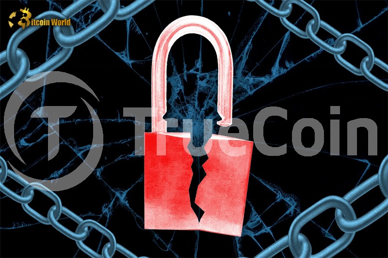 TrueCoin’s third-party vendor breach potentially leaks TUSD user data