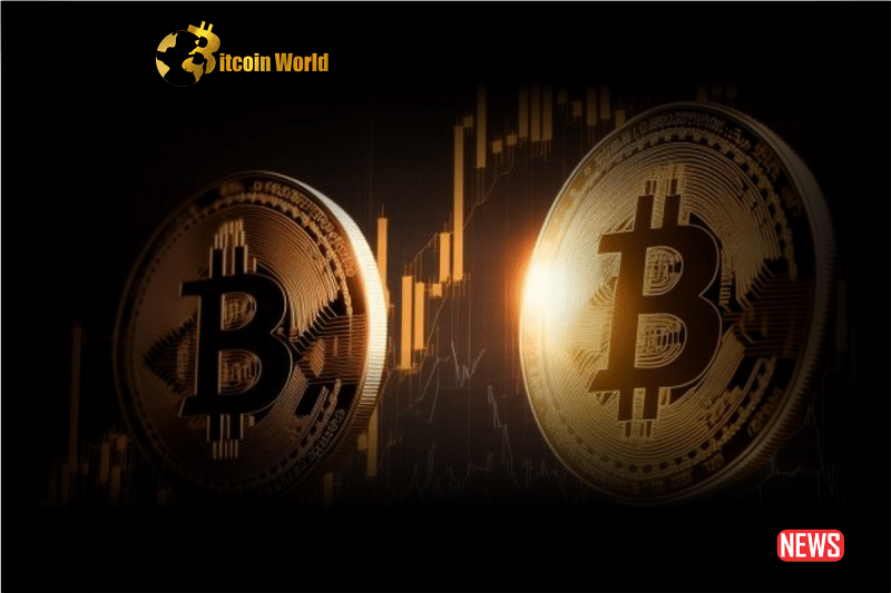 Why Bitcoins Value Shines
