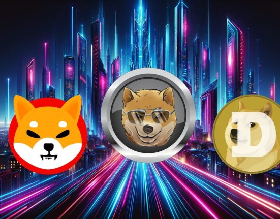Why This New Solana Based Memecoin Could Skyrocket Outshining Dogecoin and Shiba Inu