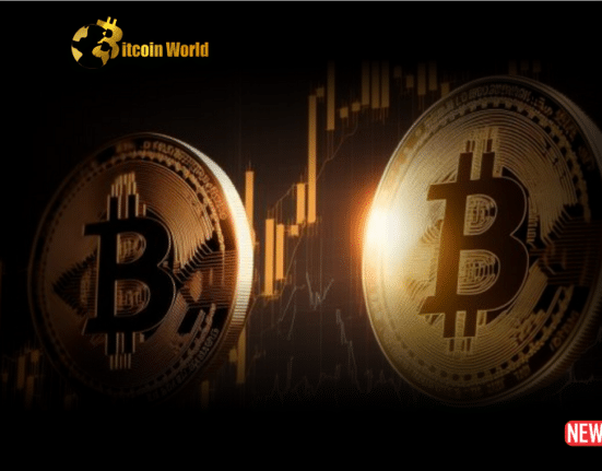 Will Bitcoin Stay 1