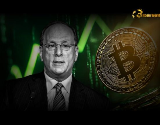 Wise Move? BlackRock CEO's Bold Crypto Strategy: Buy the Dip for Long-Term Gains