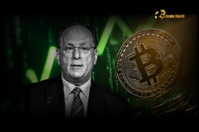 Wise Move? BlackRock CEO's Bold Crypto Strategy: Buy the Dip for Long-Term Gains