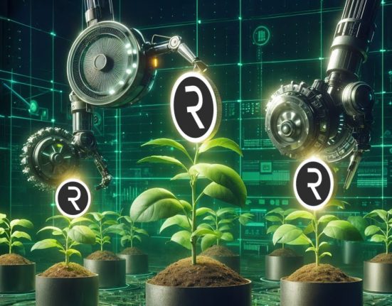 Yield farming is one of many DeFi tools that will be available on R0AR.