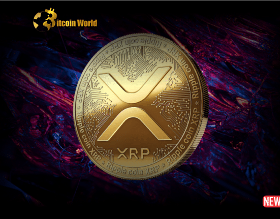 XRP Analyst Jungle