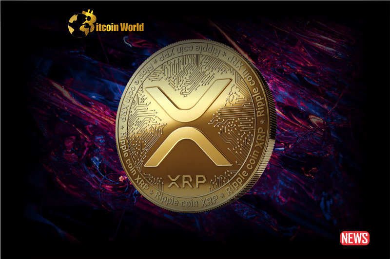 XRP Analyst Jungle