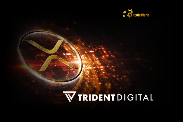 XRP Treasury: Trident Digital Plans Massive $500M Raise for Pioneering Ripple Ecosystem Investment