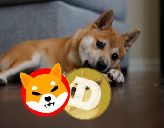XYZ Coin Could Set the Standard Beyond Shiba and Dogecoin