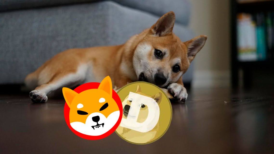 XYZ Coin Could Set the Standard Beyond Shiba and Dogecoin