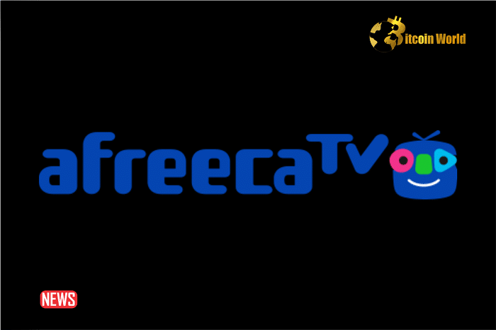 AfreecaTV BJ Stars Fell Victim To South Korean Crypto Scammer