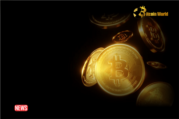 Bitcoin Hits All Time Highs in Over 30 Countries