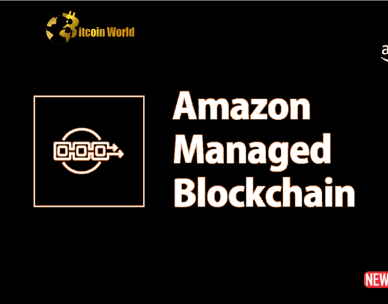 amazon managed blockc