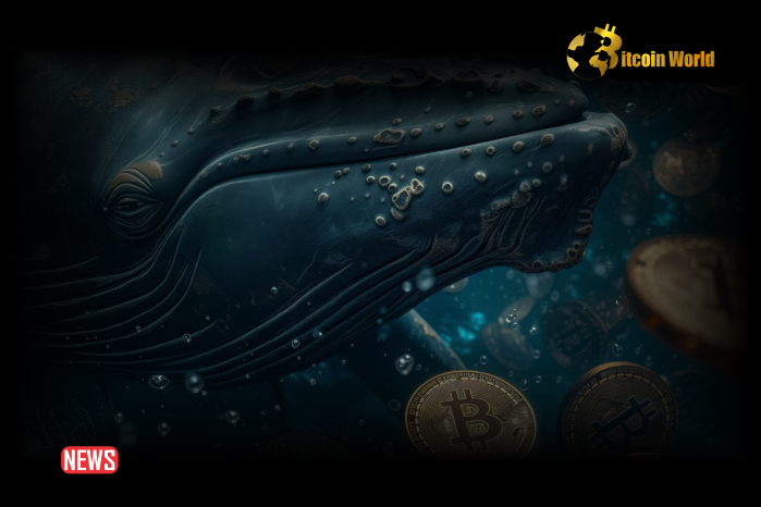 Ancient Bitcoin Wallets Come Back To Life After More Than 11 Years Of Dormancy