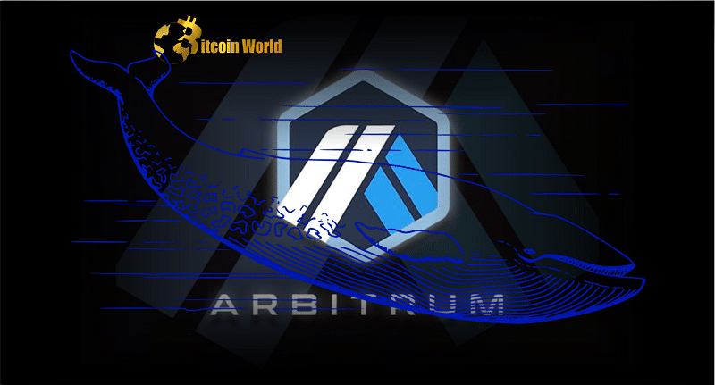 arbitrum whale 1