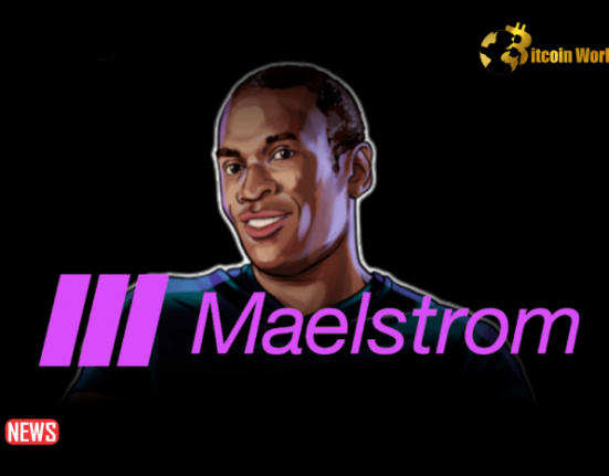 Arthur Hayes’ Maelstrom Fund Announced Bitcoin Grant Program Of Up To $250k Per Developer