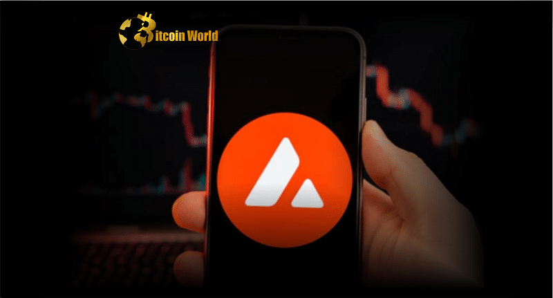 ava trading