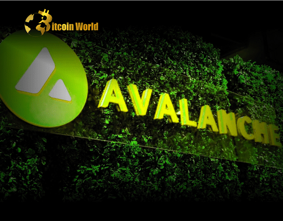 Avalanche’s Spruce Subnet Sees Traditional Finance Participation