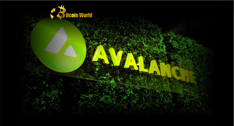 Avalanche’s Spruce Subnet Sees Traditional Finance Participation
