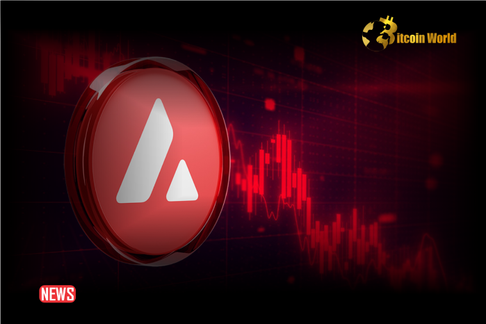Avalanche (AVAX) Price Down More Than 8% Within 24 Hours