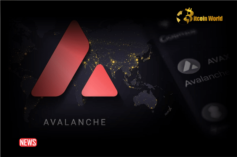 AVAX-Based Meme Coins Rally As Avalanche Foundation Announces Move To Purchase The Tokens