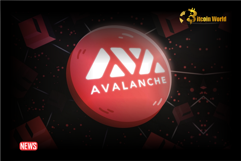 Avalanche (AVAX) Gains 10%, But What Is Driving Momentum?