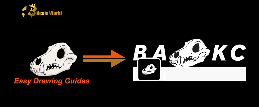 bakc skull