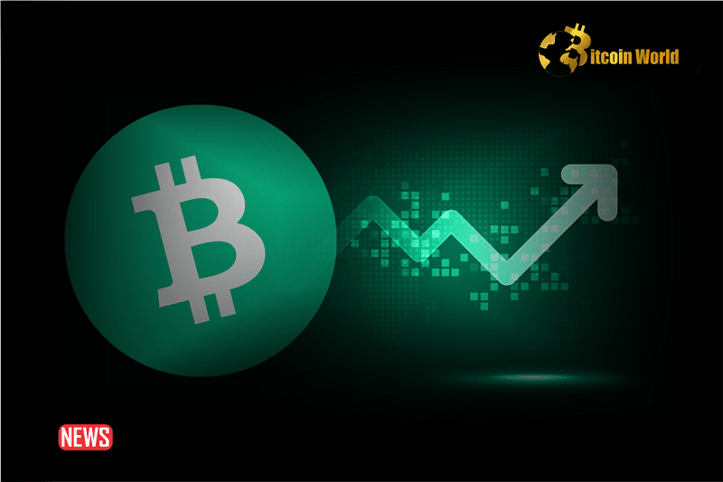 Bitcoin Cash Price Rallied 15% Gain: Signs Point to Fresh BCH Rally Ahead