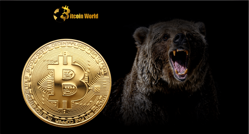 Massive Bitcoin Bear Breaks Silence, Issues Market Update After BTC Bull Stampede