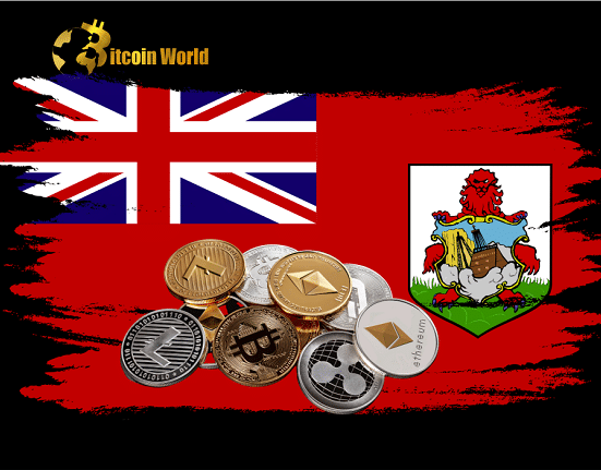 bermuda crypto hub