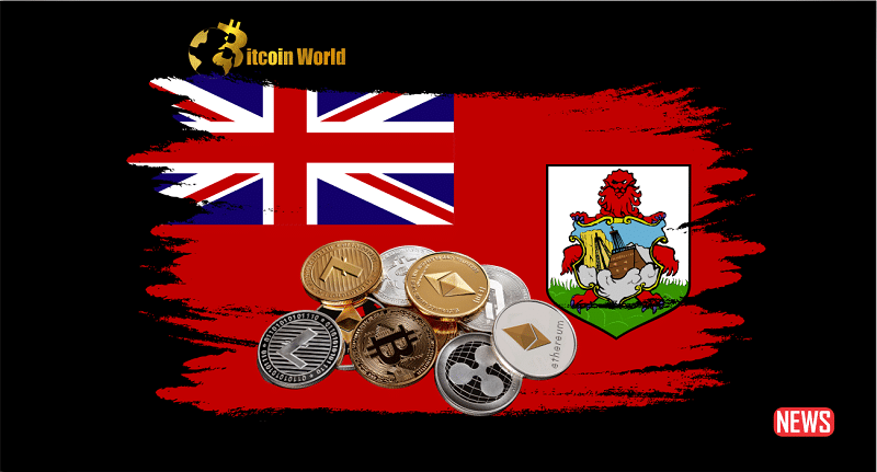 bermuda crypto hub