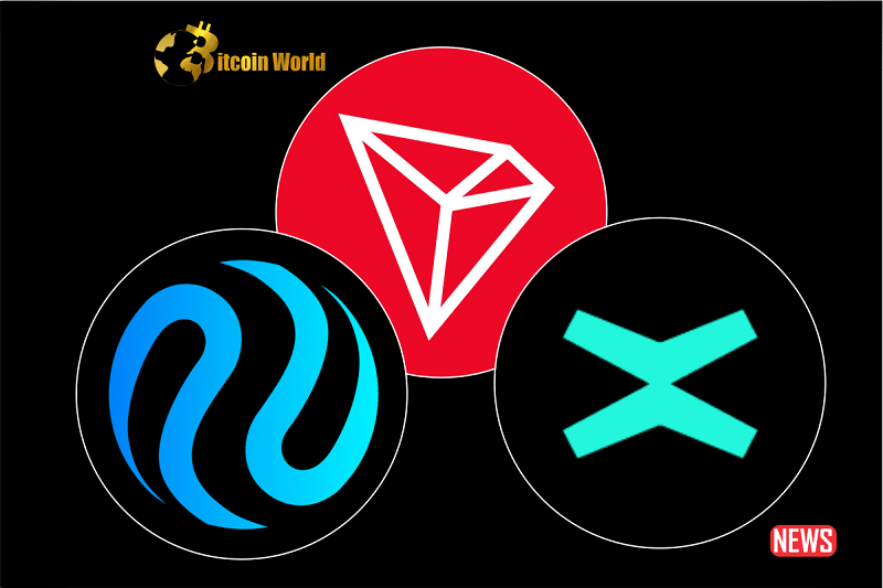 best crypto