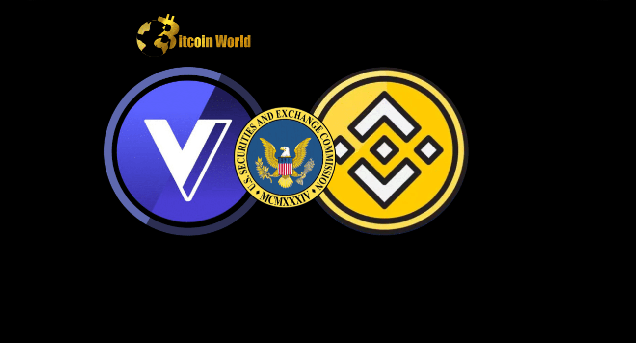 SEC Objection to Voyager-Binance.US Deal Questioned by US Judge