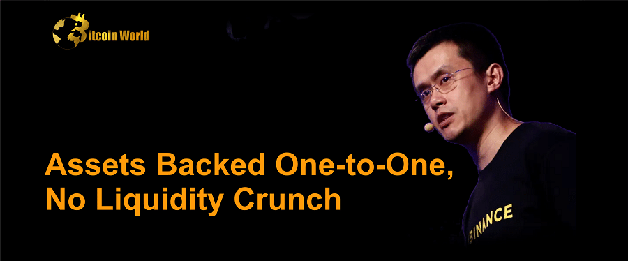 Binance CEO: Exchange Assets Are Backed One-to-One, No Liquidity Crunch