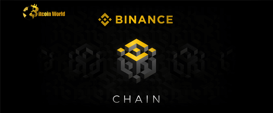 Binance Chain Building Parallel Execution as BNB Holds Gains