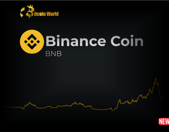 binance coin