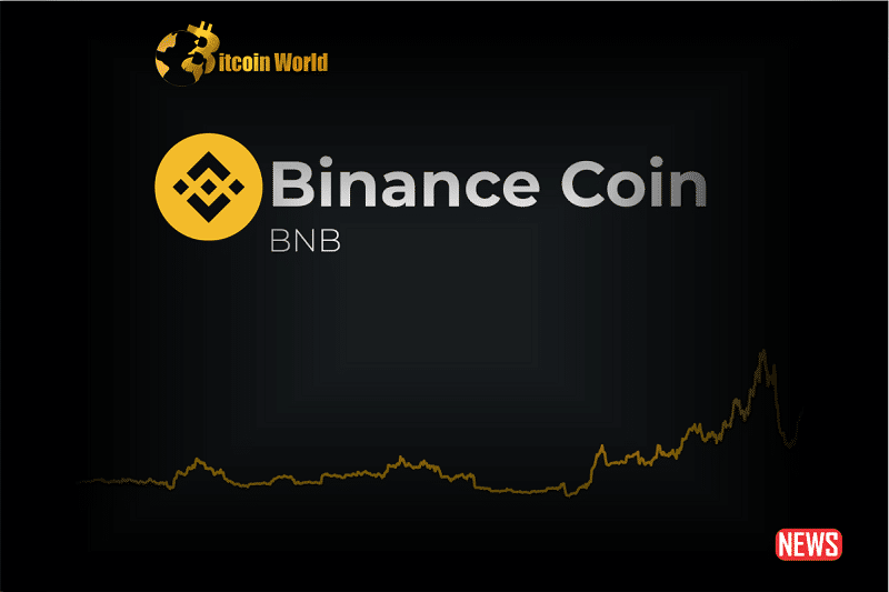 binance coin