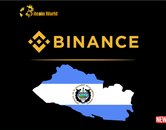 binance elsa