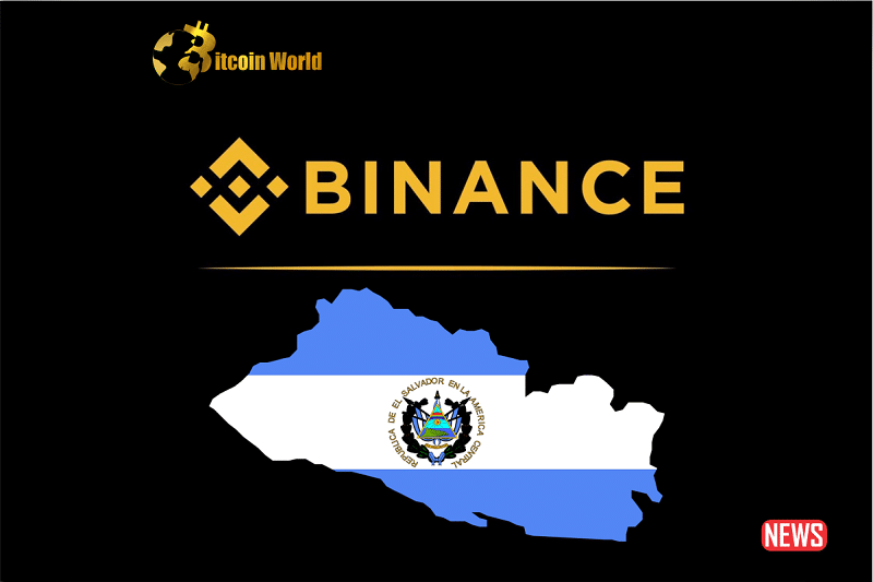 binance elsa