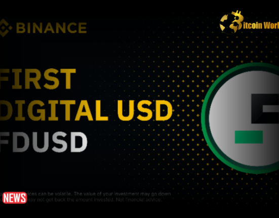 Binance Added Many FDUSD Trading Pairs To Margin Transactions