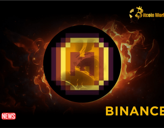 Binance Labs Announced Its Plan To Invest In Memecoin (MEME)