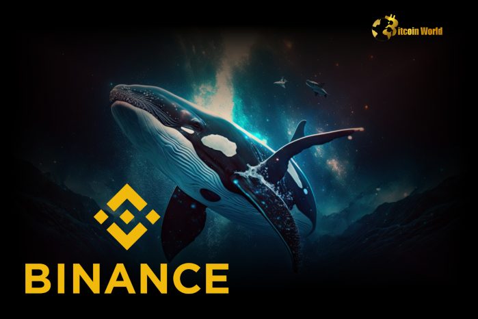 Binance Attracts Increased Whale Activity as BTC Inflow Rises