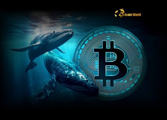 Bitcoin Accumulation: Whales and Retail Fuel Stunning Buying Spree