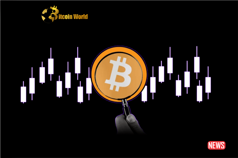 bitcoin ana