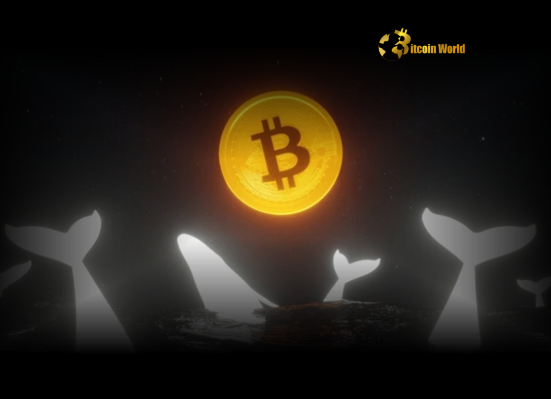 Bitcoin: Anonymous Whale Opens Shocking $84.53M Long Position