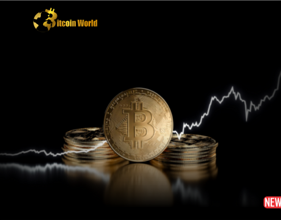 bitcoin back