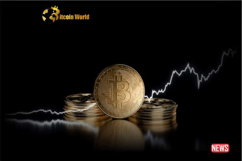 bitcoin back