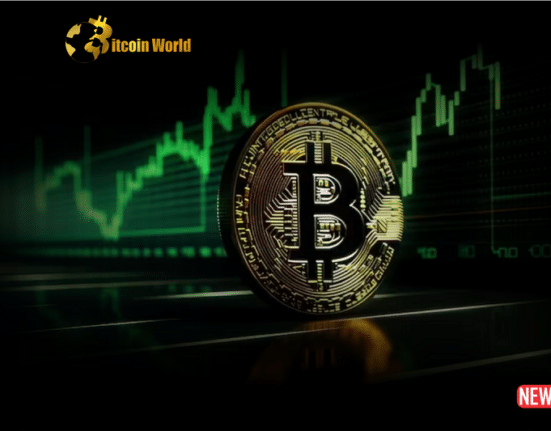 bitcoin bounce