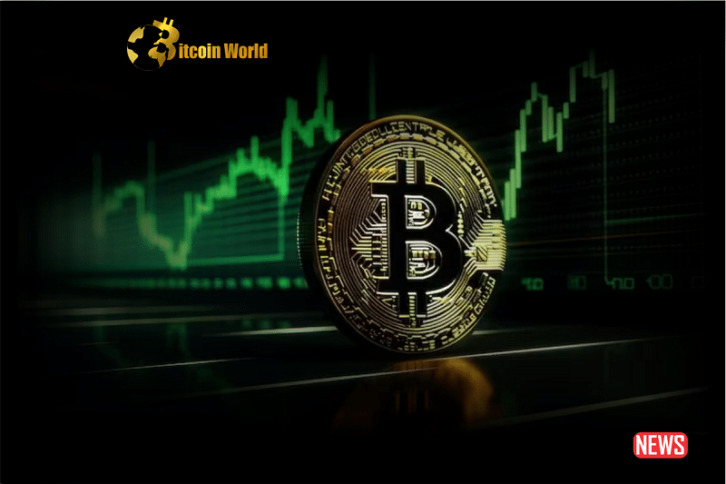 bitcoin bounce