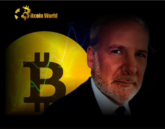 bitcoin bull